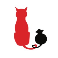 Cat 'n Mouse logo - Similar company to Videebop
