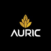 AURIC logo - Similar company to Hesa