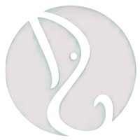 Shaligram Digital Marketing logo - Similar company to Nandv Marketing