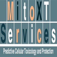 Mitoxt-Services