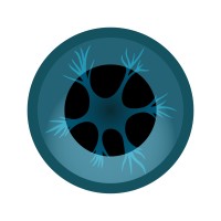 Neuron Vision logo - Similar company to Neurovision