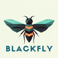 blackfly logo - Similar company to Timeless Network Services