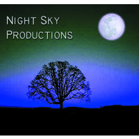 Night Sky Productions logo - Similar company to First Comics News