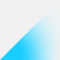 Capitaliz logo - Similar company to Defensive Security