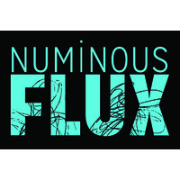 Numinous Flux logo - Similar company to Staibdance