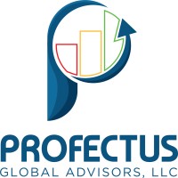 Profectus Global Advisors logo - Similar company to Vidya Brands Group
