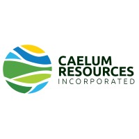 Caelum Resources logo - Similar company to Completevision