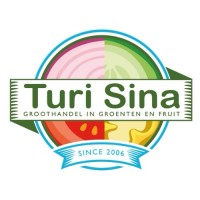 Turi Sina logo - Similar company to Prodaps
