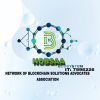 NETWORK OF  BLOCKCHAIN  SOLUTIONS ADVOCATES ASSOCIATION (NOBSAA) logo - Similar company to Blockchain Assurance & Standardization Dynamic Coalition Of The Un Internet Governance Forum (Igf)
