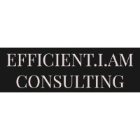 Efficient.I.Am logo - Similar company to Virtual Strategy Solutions Llc