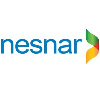 Nesnar | Technology Solutions Provider logo - Similar company to Cybrix Erp