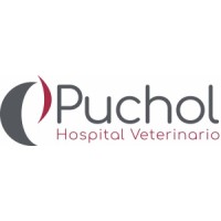 Hospital Veterinario Puchol logo - Similar company to Veterios
