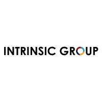 Intrinsic Group Limited logo - Similar company to Ncpi Solutions