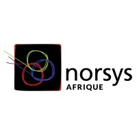 Norsys Afrique logo - Similar company to Argas Ahşap Ürünleri
