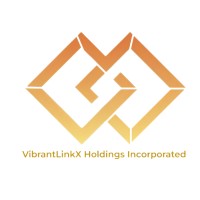 VibrantLinkX Holdings Inc. logo - Similar company to Codemate