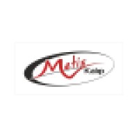 Metis Kalıp Makina Elektronik Mühendislik San. Tic. A.Ş. logo - Similar company to Nat Plasti̇k