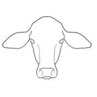 GANATEC Colombia logo - Similar company to Ichor Global