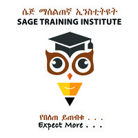 Sage Training Institute logo - Similar company to Bukaritech