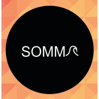 Somma Mgt logo - Similar company to Professional Paris