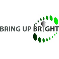 Bring Up Bright Software solutions logo - Similar company to Mutha Paras & Co