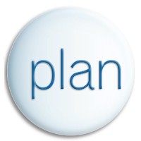 Plan In Motion Inc.