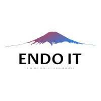 ENDO IT logo - Similar company to Endo It
