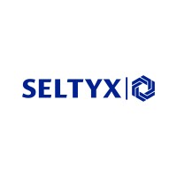 Seltyx logo - Similar company to Fijzel