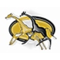 Girafrica Solutions logo - Similar company to Twiga Consulting (Pty) Ltd