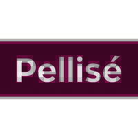 Pellisé logo - Similar company to Roselló Mallol - Gdpr / Privacy Compliance - Eu 🇪🇺 & Andorra 🇦🇩