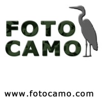 FOTOCAMO logo - Similar company to Hipposdesign