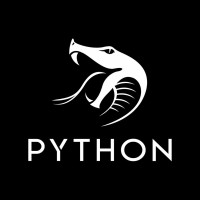 Python - Digital Solutions Agency logo - Similar company to Development Leader Trading Llc