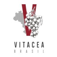 Grupo Vitácea Brasil logo - Similar company to Puma Golf