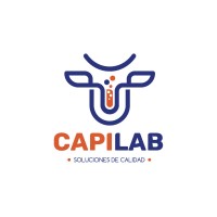 Capilab logo - Similar company to Innoval Solutions