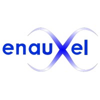 Enauxel S.r.l. logo - Similar company to Engineering Projects Consulting