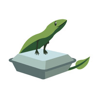 Eco Lizard AZ logo - Similar company to Sustainable Tucson