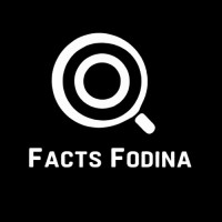 Facts Fodina logo - Similar company to Research Rapid