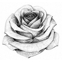 The French Perfumery logo - Similar company to Caroulemapub (Ex. Advnv)