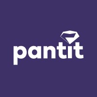 Pantit - Pantbanken Online logo - Similar company to Gowise