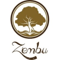 ZEMBU logo - Similar company to Globalsphere Studios