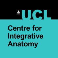 UCL Centre for Integrative Anatomy logo - Similar company to Cell Your Idea