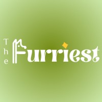 The Furriest logo - Similar company to Ayse