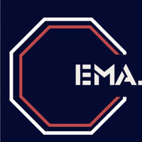 EMA EHL Martial Arts logo - Similar company to Hi Studios