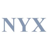 NYX Sistemas logo - Similar company to Byrd Solutions