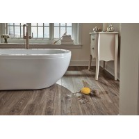 Jiaxing Gold Lion Decoration Material Co.,ltd logo - Similar company to Dozan Mosaic And Tiles Ltd.