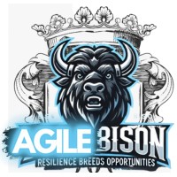 CyberBison logo - Similar company to Primordium