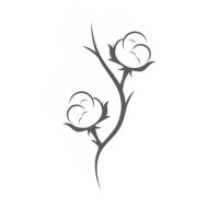 Beatrice Cazzavillan - Life & Career Coach logo - Similar company to Top - Teatri Off Padova