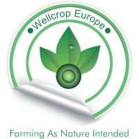 Clean Nano Solutions