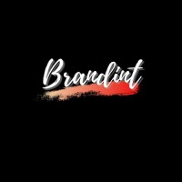 Brandint logo - Similar company to Brandsmart Internancional