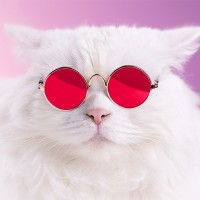 Agence Cherry logo - Similar company to Cherry Agency