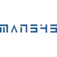 MANSYS IT services